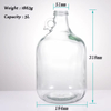 Wholesale Factory Price 5L Demijohn Glass Carboy with Screw Cap One Handle