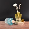 Glass Diffusser Bottle Gradient Aromathrapy Bottle Refillable Essential Oils Container Fragrances Scent Accessories
