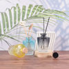 Glass Diffusser Bottle Gradient Aromathrapy Bottle Refillable Essential Oils Container Fragrances Scent Accessories